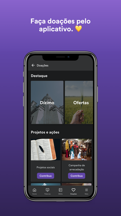 Videira Arenapolis Screenshot