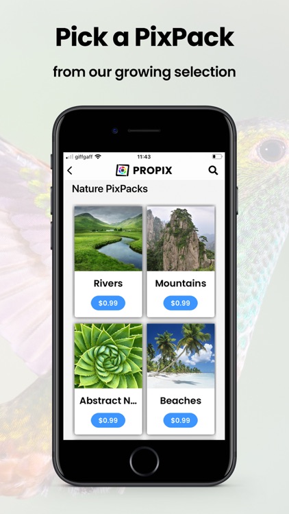 ProPix