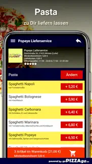 popeye winsen (luhe) problems & solutions and troubleshooting guide - 4