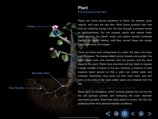 Earth and Science screenshot 4