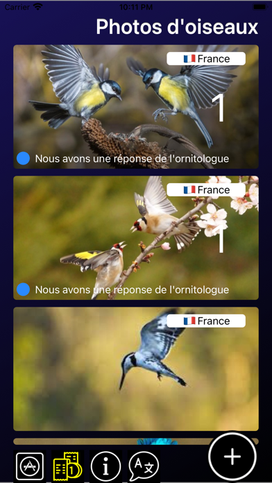 Screenshot #1 pour Identification d'oiseau