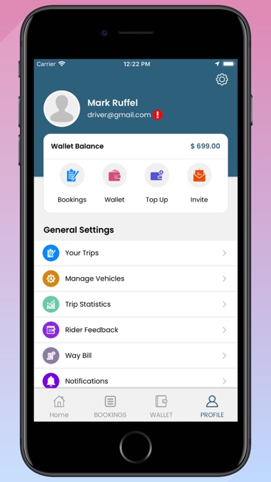 Ciride Driver Screenshot