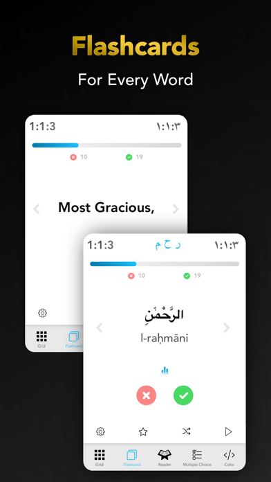 Quran Study Learn Word by Word Screenshot