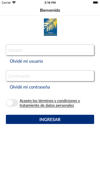 Puerto Tranquilo Screenshot