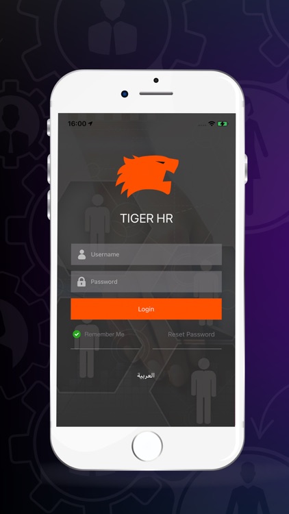 Tiger 360
