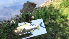 Game screenshot Swimming Upstream AR apk