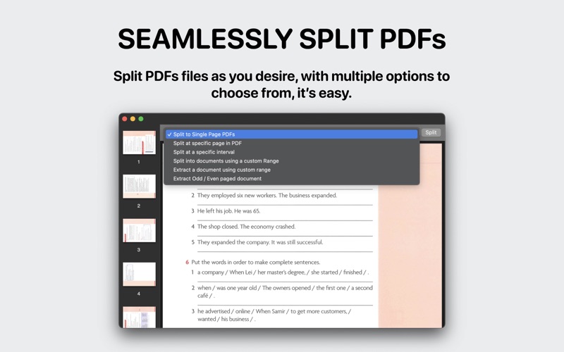 pdfs split & merge iphone screenshot 3