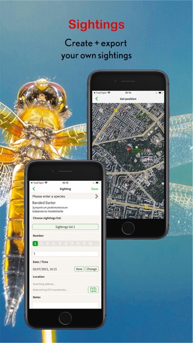 Dragonfly Id Britain & Europe Screenshot