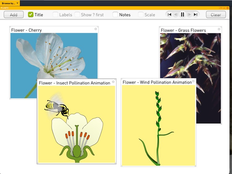 Science SuperLab - Biology screenshot-8