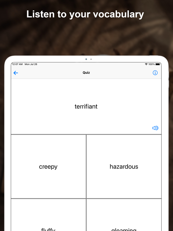 Chinese Flashcards - Voice