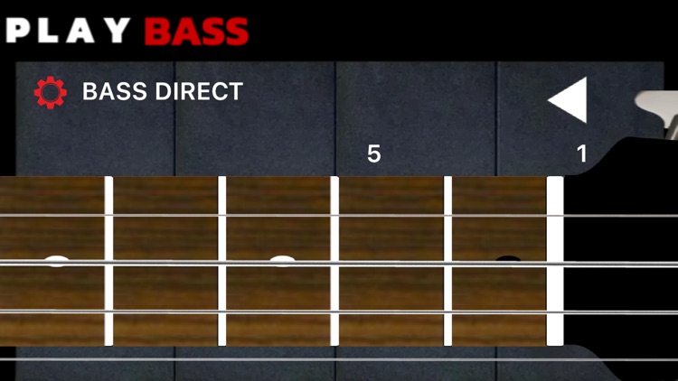 Play Bass: Real Bass Simulator screenshot-8