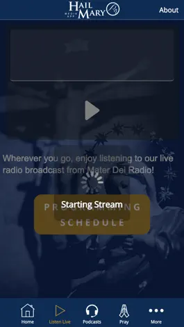 Game screenshot Hail Mary Media apk