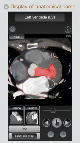 Game screenshot CT Passport Heart / MRI mod apk