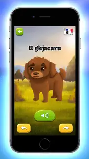 lingue vive - corse iphone screenshot 4