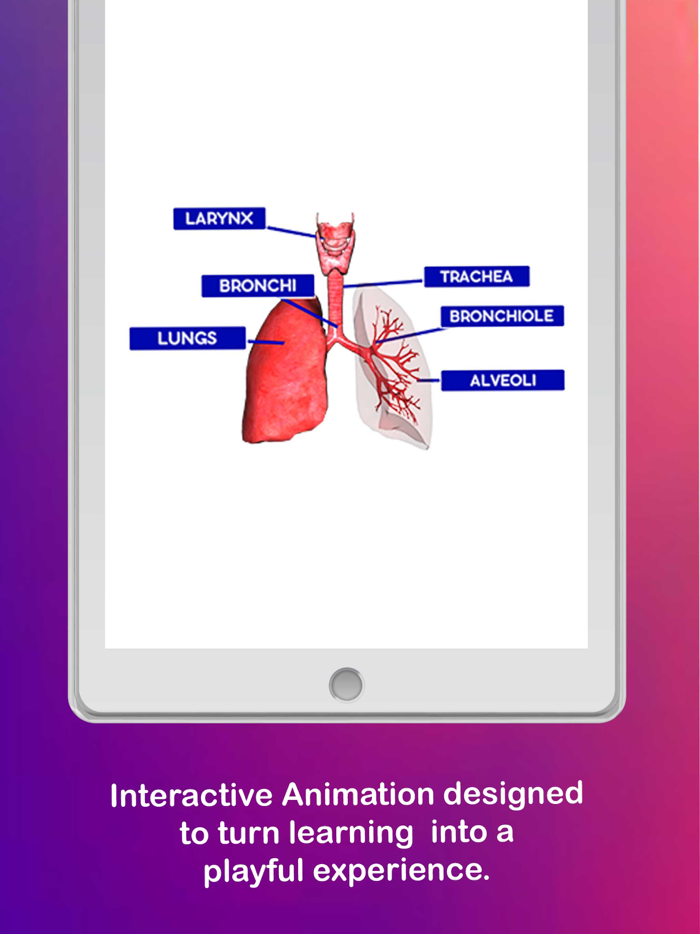 Anatomy AR 4D -Virtual T-Shirt