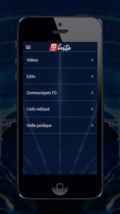 FO CEA CESTA Screenshot