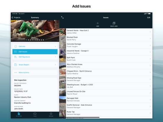 Site Audit Pro iPad app afbeelding 2