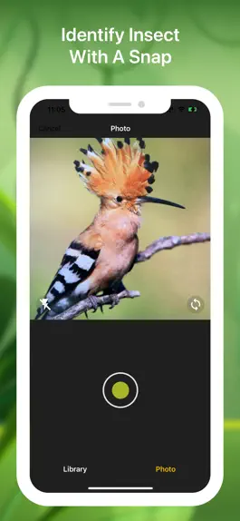 Game screenshot Bird identifier Bird Finder apk