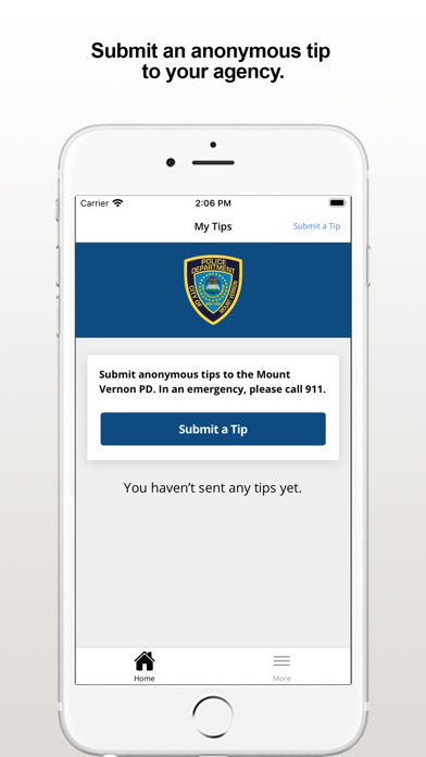 Mount Vernon PD Screenshot