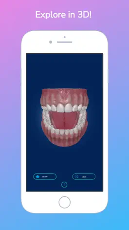 Game screenshot i-DENTify: Dental Anatomy mod apk