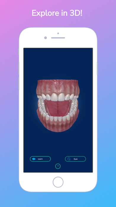 i-DENTify: Dental Anatomy Screenshot