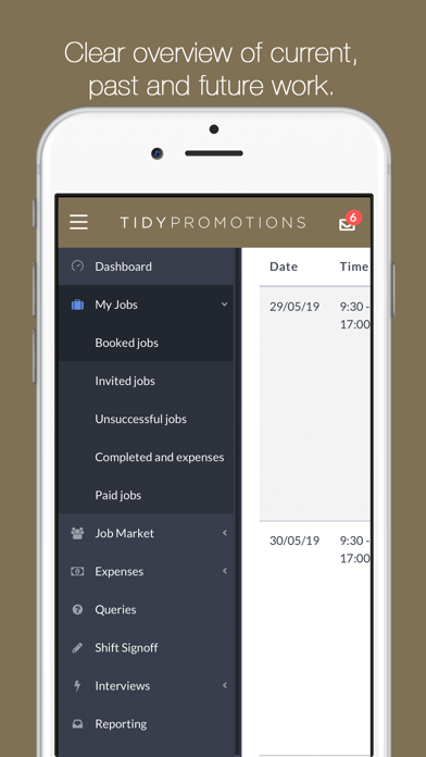 Tidy Promotions Screenshot