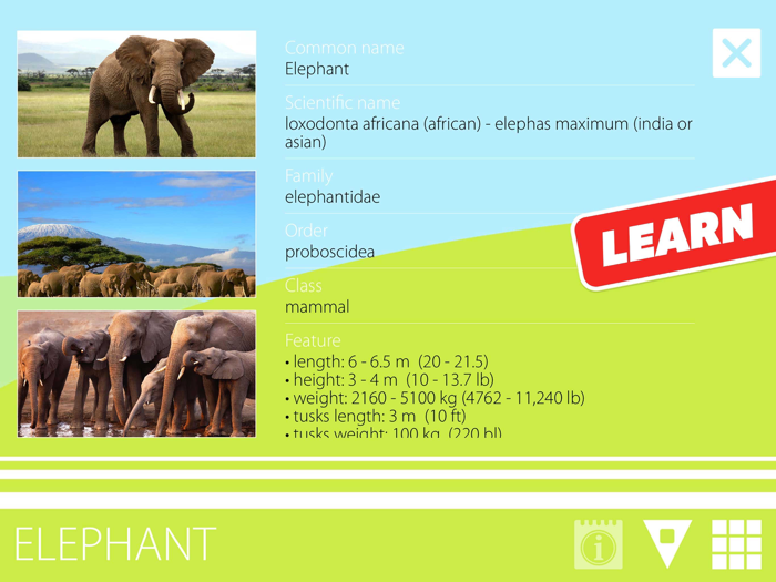 Animal Sounds Photos and Info