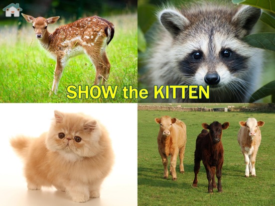 Point the picture: for babies iPad screenshot 4 - Education app