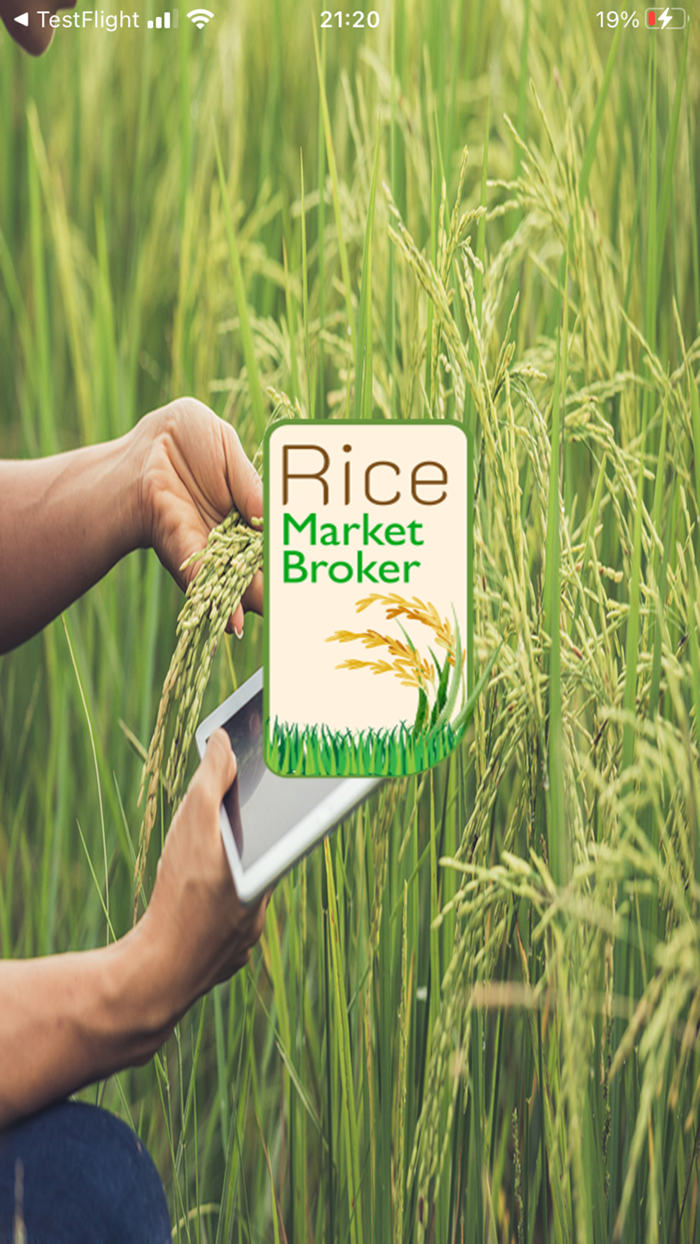 Rice Market Broker