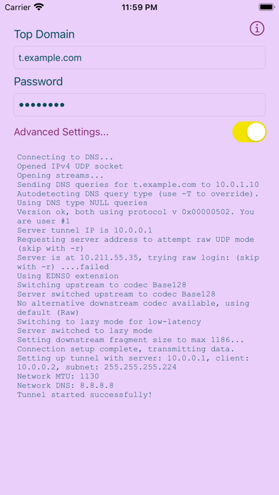 Purple Haze: DNS Tunnel Screenshot