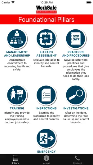 Safety Pillars screenshot 1