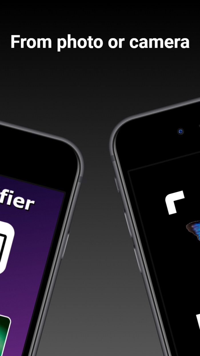 Bug Identifier - Insect ID