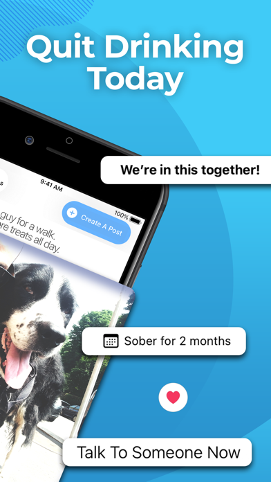 Sober Sidekick: Quit Drinking Screenshot