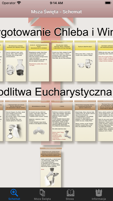 Screenshot #2 pour Msza Święta