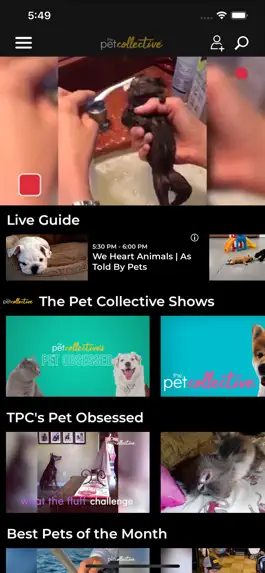 Game screenshot The Pet Collective mod apk
