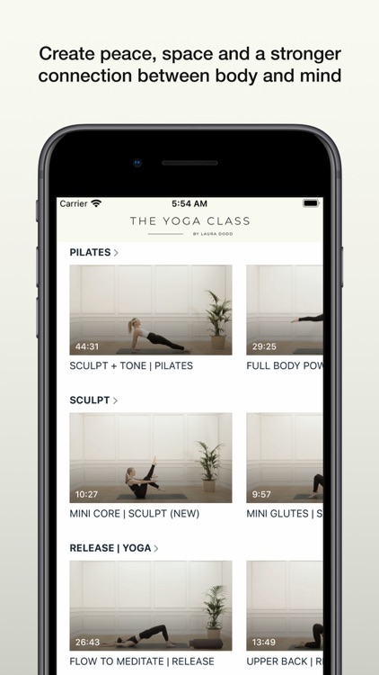 The Yoga Class