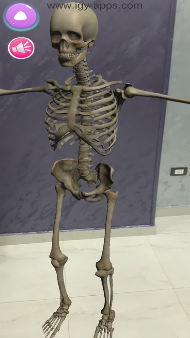 Anatomy AR 4D Screenshot