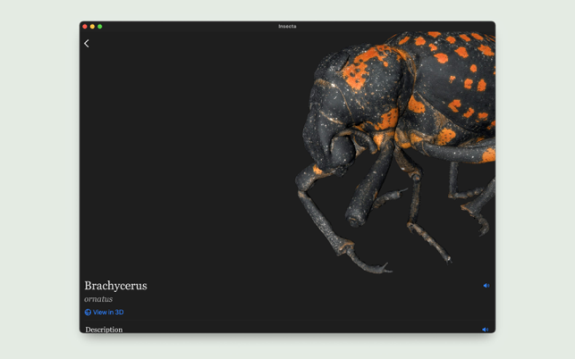 ‎Insecta - Study Insects in AR Screenshot