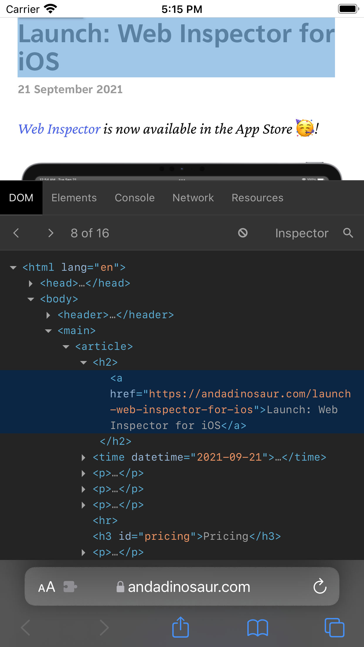 Web Inspector screenshot 3