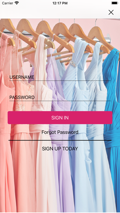ElbisNY LLC Screenshot