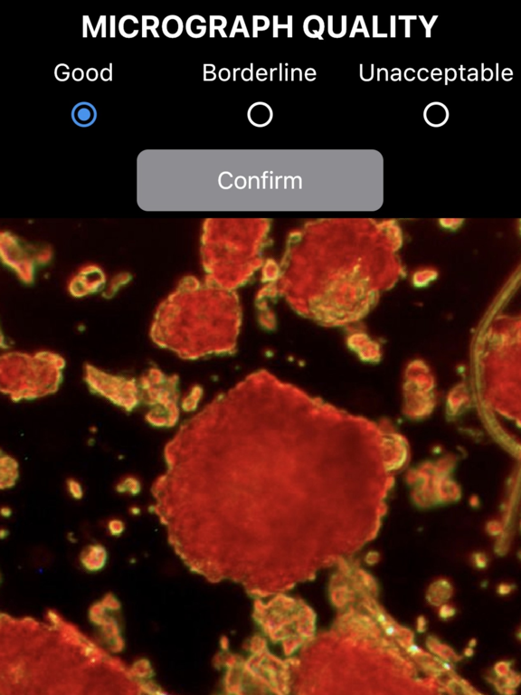 Screenshot #5 pour IsletSwipe
