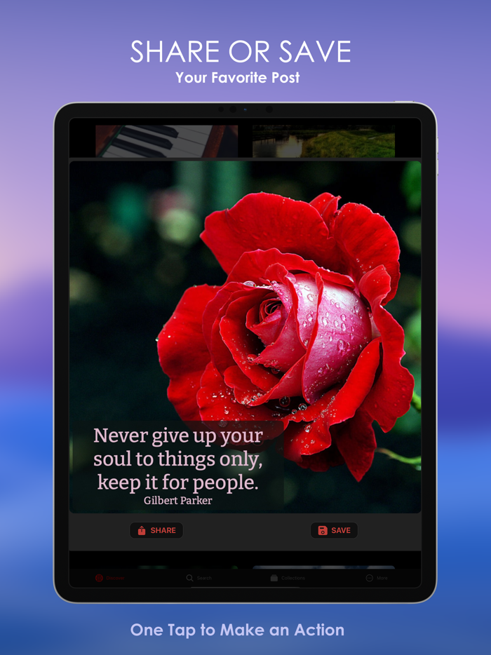 Redmades Readymade Posts