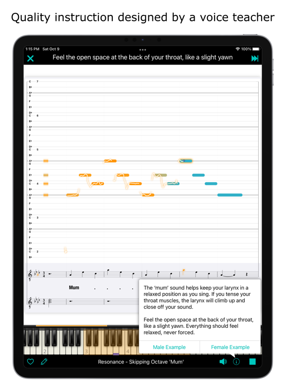 Erol Singer's Studio iPad screenshot 4 - Education app