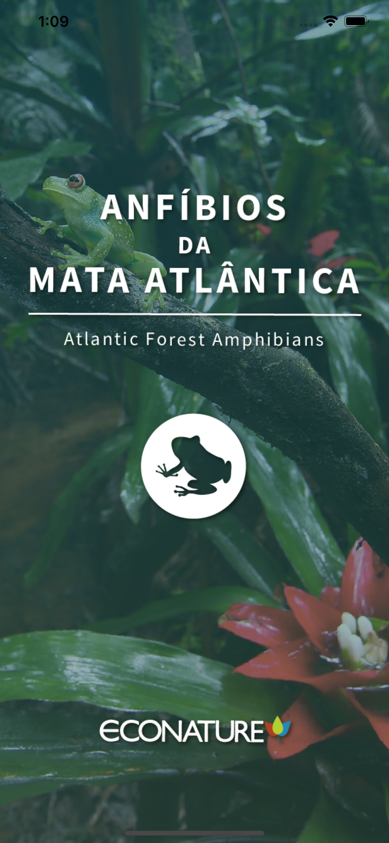 Anfíbios da Mata Atlântica