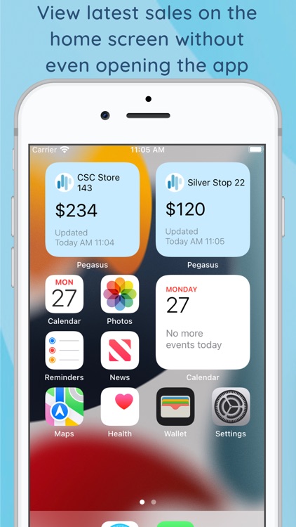 Pegasus Reports screenshot-3