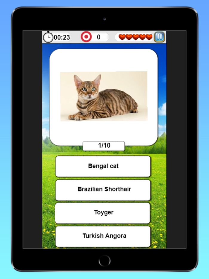 Cats  Dogs Quiz-Guess Breeds