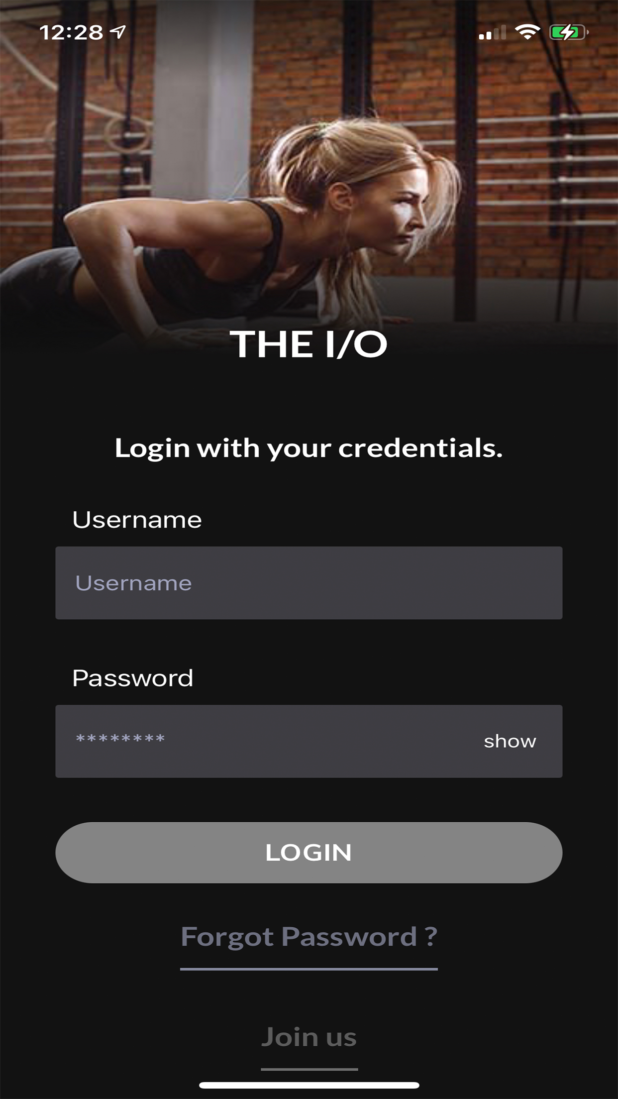 THE I/O