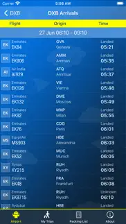 dubai airport (dxb) info iphone screenshot 2