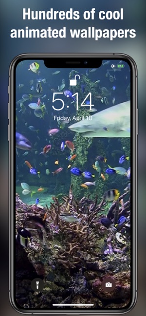 dynamic wallpapers for iphone 5