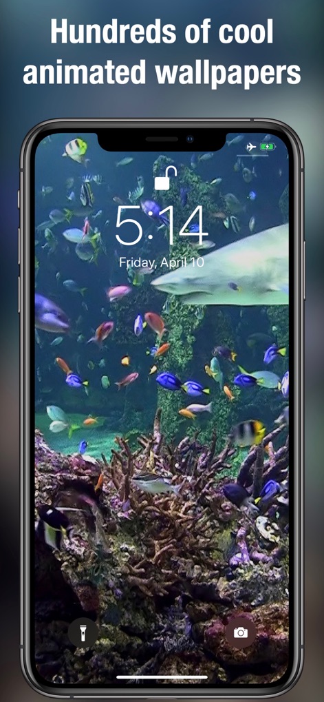 Dynamic wallpapers & themes - Explore an extensive array of animated wallpapers, including detailed underwater scenes featuring a shark alongside numerous fish, highlighting the depth of available content.